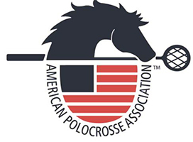 Logo Letterhead USA, 2015